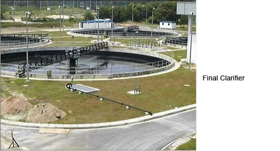 final clarifier