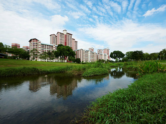 Kallang-Bishan-Cover