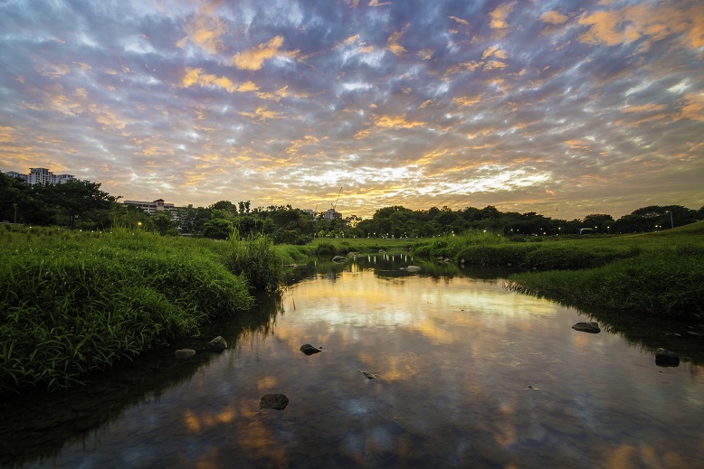 Kallang_River_Bishan_Park_5