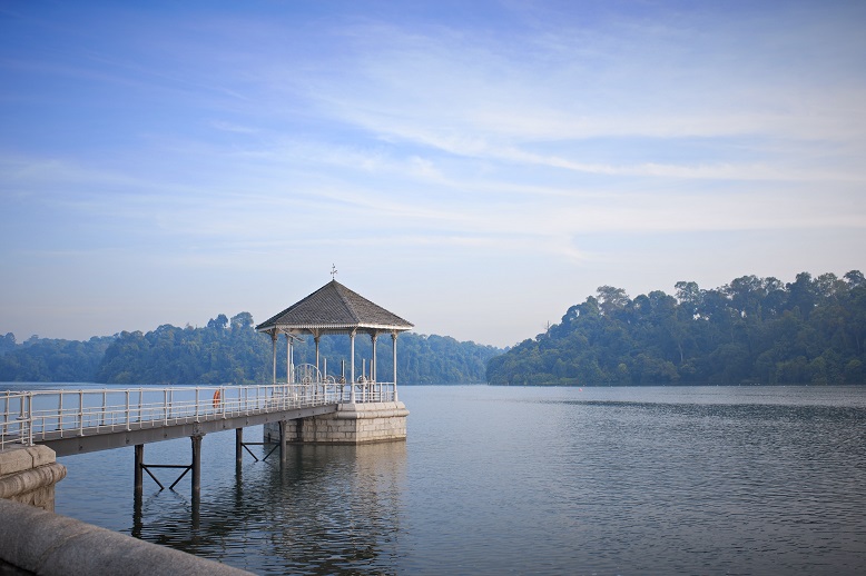 Macritchie_10