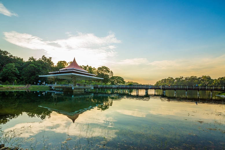 Macritchie_2