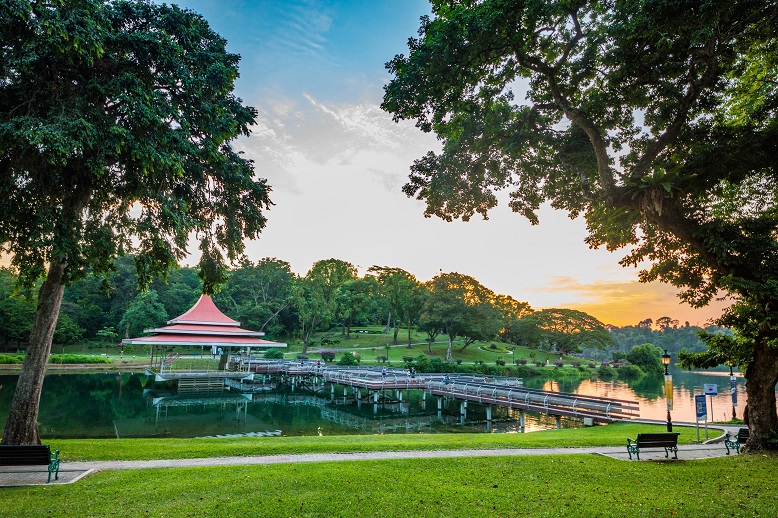 Macritchie_3