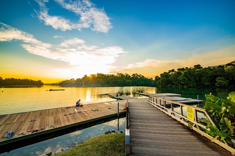 Macritchie_8