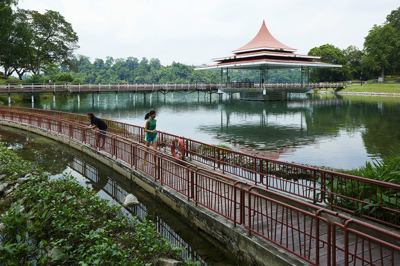 Macritchie_9