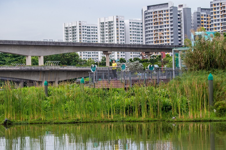 Sengkang_Floating_Wetland_6