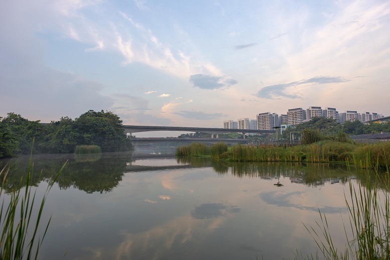 Sengkang_Floating_Wetland_9